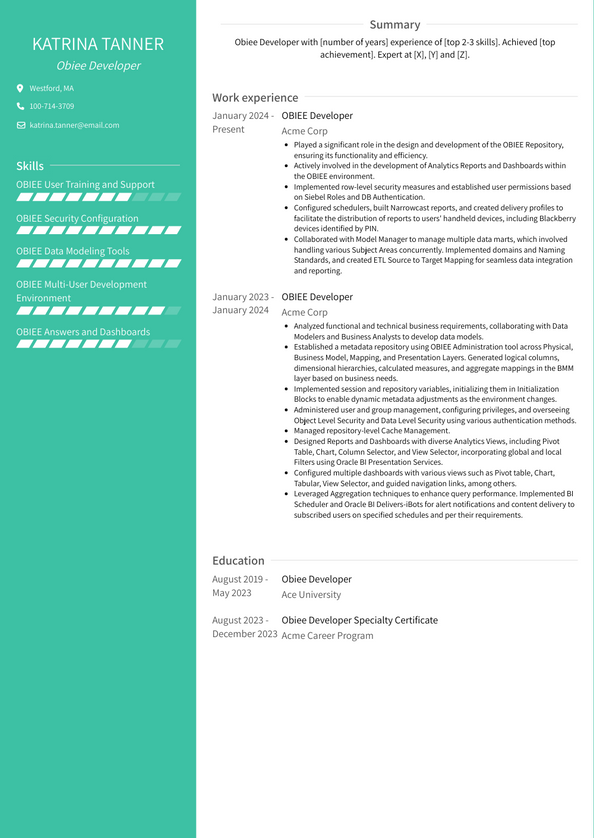 Obiee Developer Resume Examples And Templates