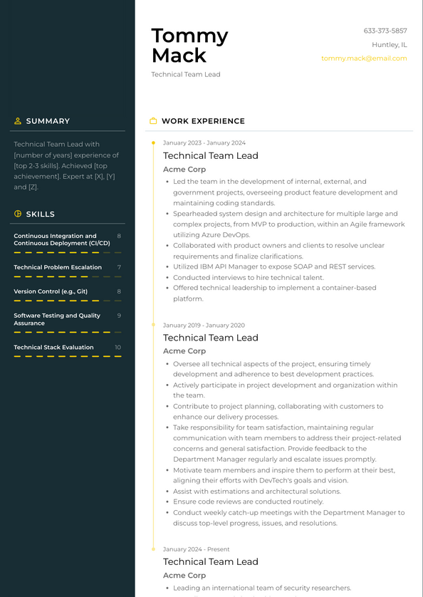 Technical Team Lead Resume Examples and Templates