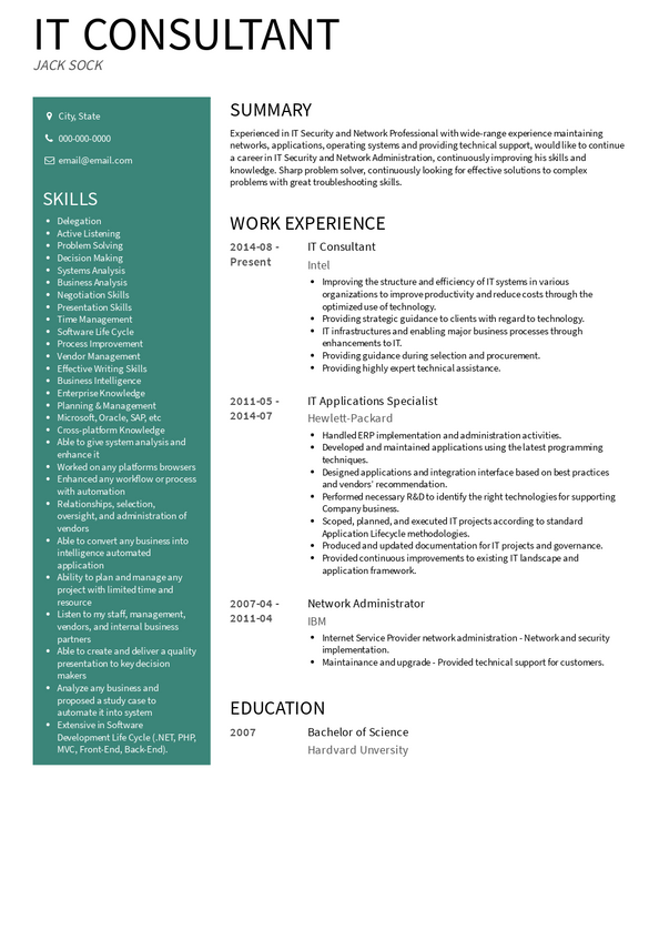 resume summary examples consultant