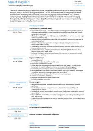 Key Account Manager - Resume Samples and Templates | VisualCV