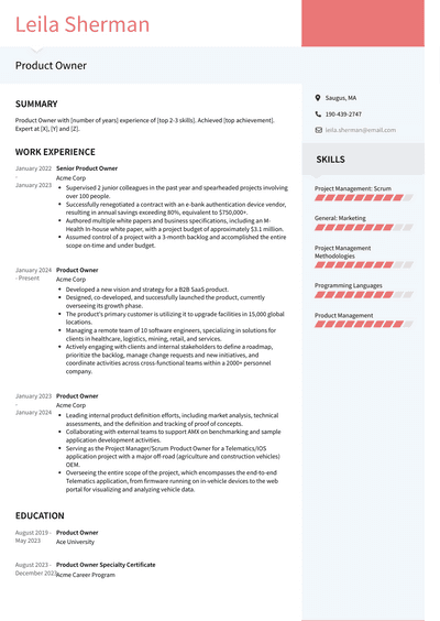 Product Owner Resume Examples and Templates