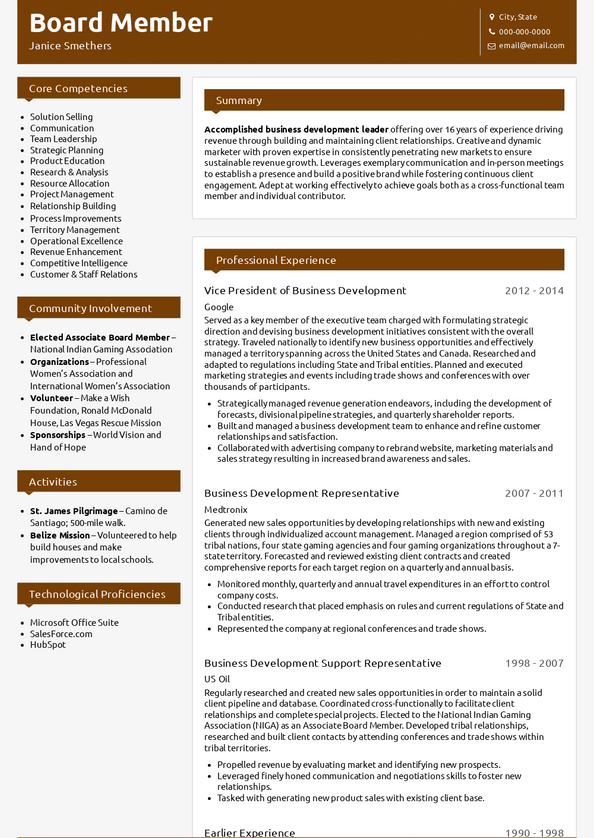 Board Member Resume Examples [+ 3 Samples] VisualCV