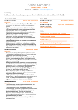 Lead Business Analyst Resume Sample and Template