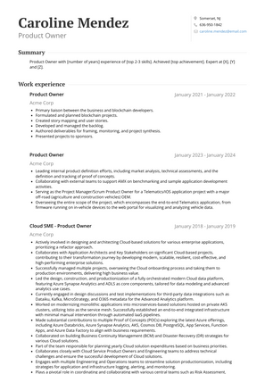 Product Owner Resume Sample and Template
